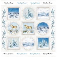 ScrapAndMe - Frosty Days  01 - 30,5x30,5cm