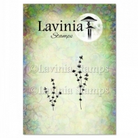 Lavinia - Thyme LAV952