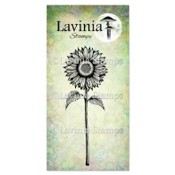 Lavinia - Open Sunflower LAV986