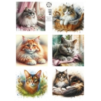 Jalekro - Friendz for life - Cats