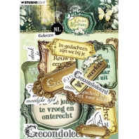 Studio Light - Quiet Morning - Teksten NL