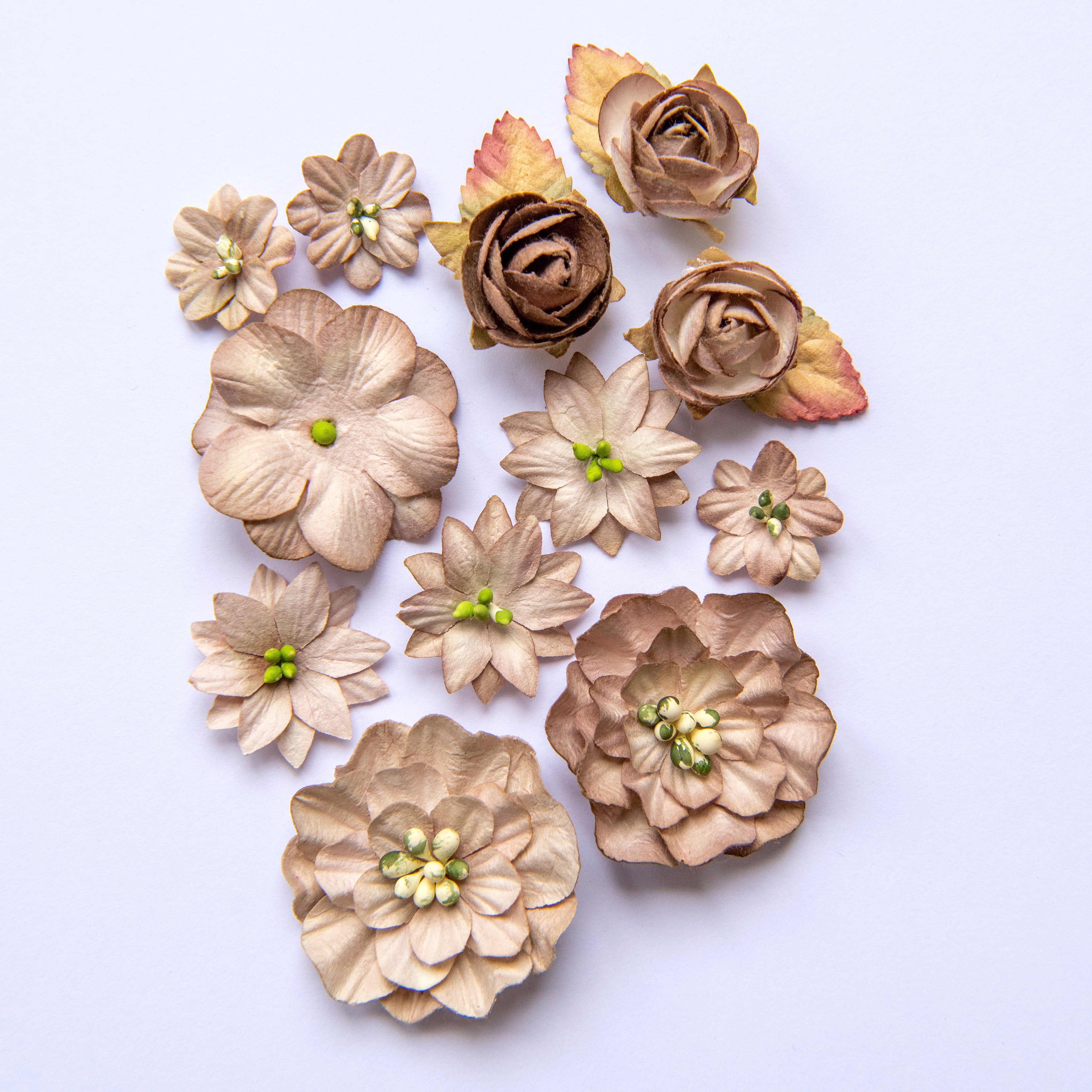 Country Blooms - Mushroom