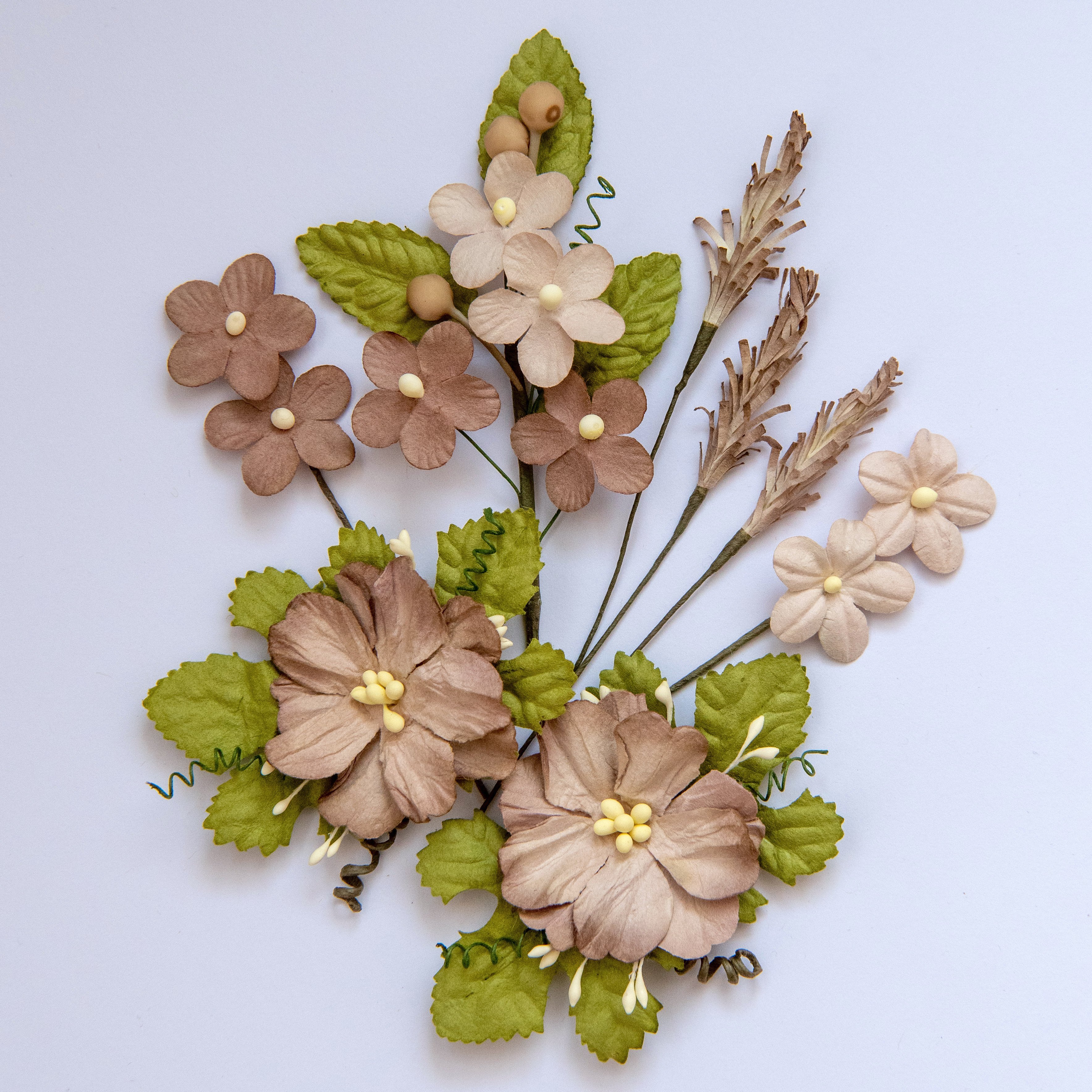 Wild Flowers - Mushroom