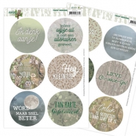 Tekst Designs - Amy Design. -  Amazing Owls - Night Owls