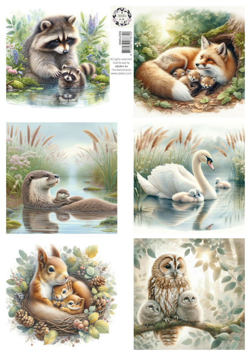 Jalekro - Friend of life 1