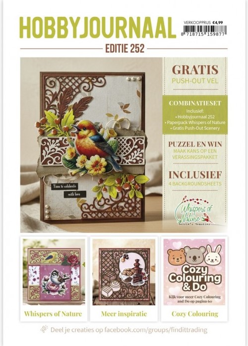Hobbyjournaal 252