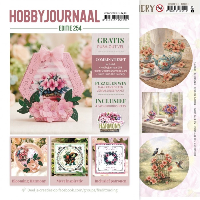 Hobbyjournaal 254 