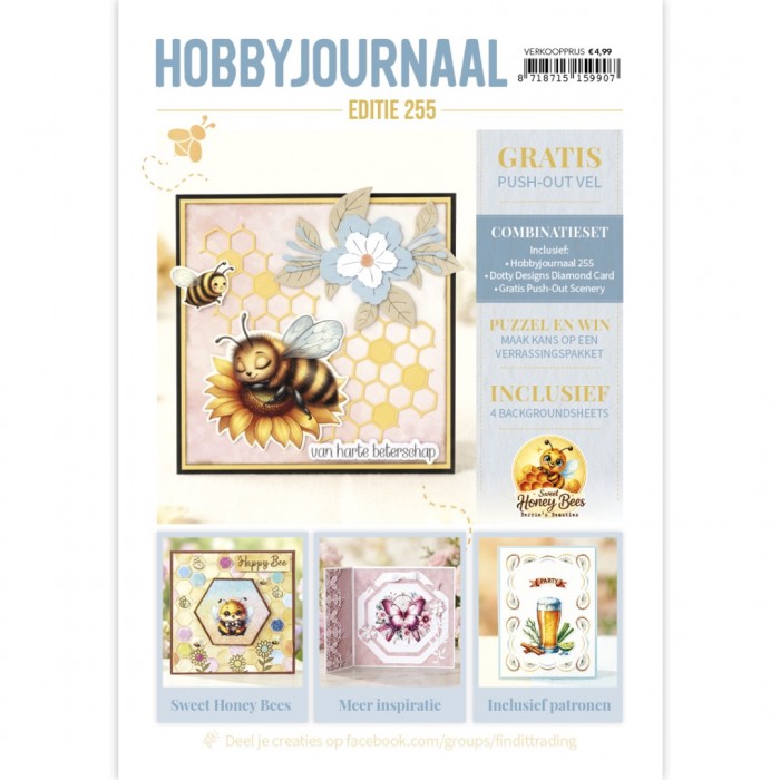 Hobyyjournaal 255