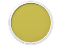 Pan Pastel - 9 ml - Hanna Yellow Shade 220.3