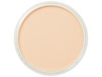 Pan Pastel - 9ml - Orange Tint 280.8