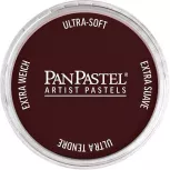 Pan Pastel - 9ml - Crimson Extra Dark 350.1