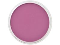 Pan Pastel - 9ml - Magenta Shade 430.3