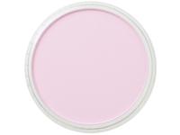 Pan Pastel - 9ml - Magenta Tint 430.8