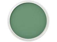 Pan Pastel - 9ml - Permanent Green Shade 640.3