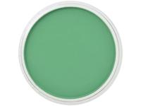 Pan Pastel - 9ml - Permenent Green 640.5