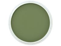 Pan Pastel - 9ml -  Chromium Oxide Green Shade 660.3