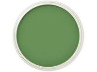 Pan Pastel Chromium Oxide Green 660.5
