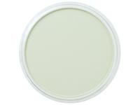 Pan Pastel - 9ml - Chromium Oxide Green Tint 660.8