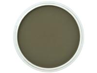 Pan Pastel - 9ml - Bright Yellow Green Extra Dark 680.1
