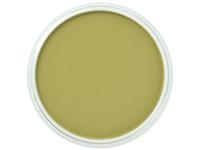 Pan Pastel - 9ml - Bright Yellow Green Shade 680.3