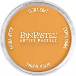 Pan Pastel - 9ml - Yellow Oxide 270.5