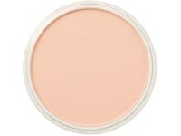 Pan Pastel - 9 ml - Red Iron Oxide Tint 380.8