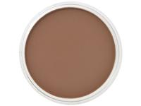 Pan Pastel Burnt Sienna Shade 740.3