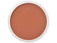 Pan Pastel - 9ml - Burnt Sienna 740.5
