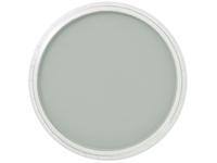 Pan Pastel - 9ml - Neutral Gray 820.5