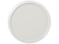 Pan Pastel - 9ml - Neutral Gray Light 820.7