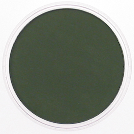 Pan Pastel - 9ml - Chromium Oxide Green Extra Dark  660.1