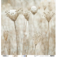 Studio Light Scrap 200gr Celebrate new beginnings nr 96