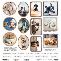 Studio Light Scrap 200gr Celebrate new beginnings nr 98