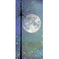 Lavinia Scenescapes Night-Time Magic