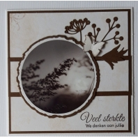 Workshop Februari -  Veel sterkte -  2025