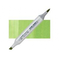 Copic Sketch G43 pistachio