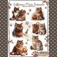 Juffrouw Muis Knipsels - Britse Korthaar