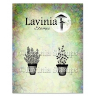 Lavinia - Rosemary & Thyme Pots LAV948
