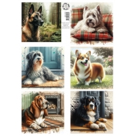 Jalekro - Friendz for life - dogs