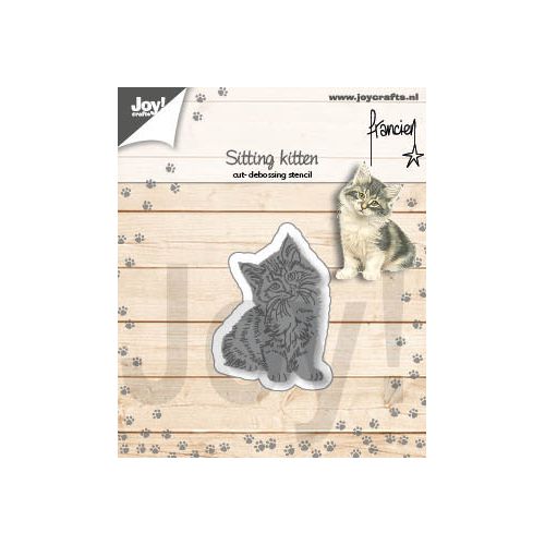 Francien - Zittend kitten