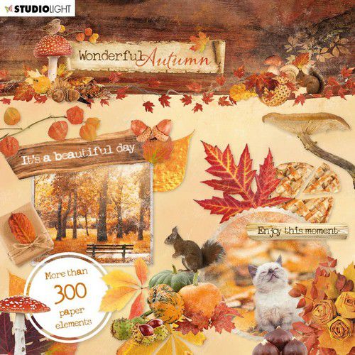 Studio Light  Die Cut book 15x15 Wonderful Autumn nr 664