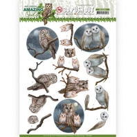 3D Push Out - Amy Design. -  Amazing Owls - Night Owls